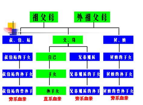 外孫算直系嗎|哪些人是直系血親卑親屬？ – 上毅法律事務所